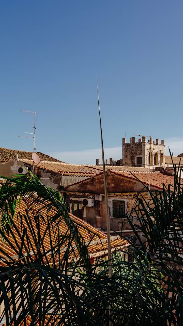 Vertical summer timelapse from a window in historic town of Sicily. Ancient buildings with a palm three in the middle of a courtyard.