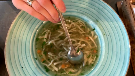 traditional polish chicken soup with noodles and parsley