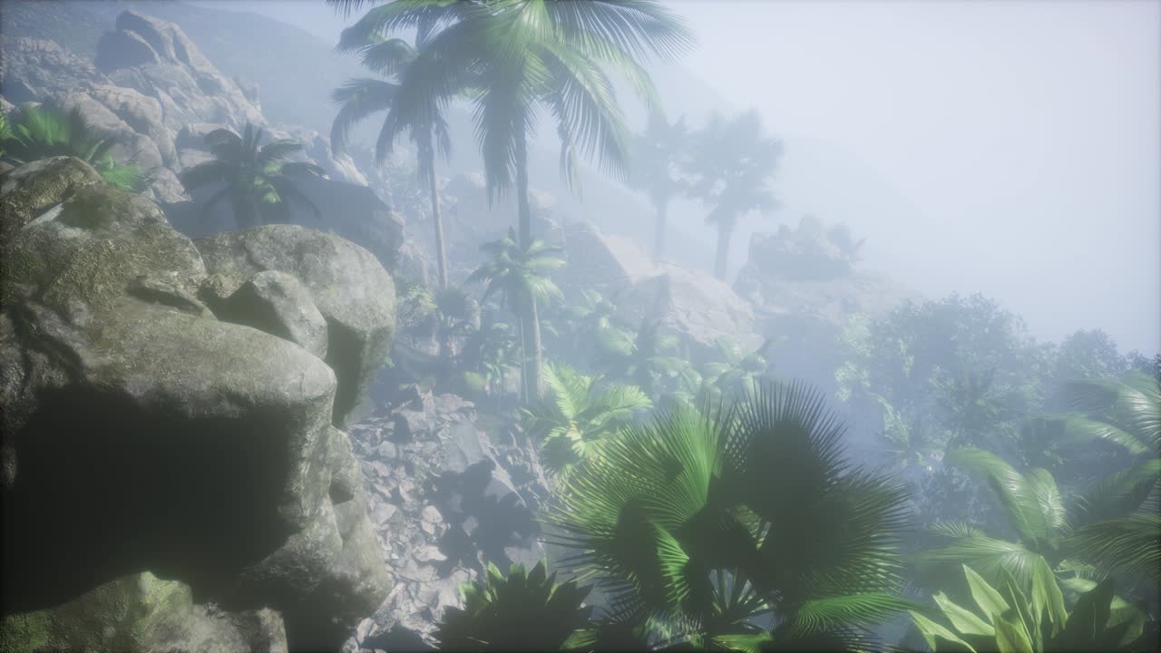 los rayos del atardecer a través de las palmeras