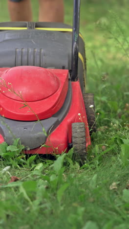 lawn mower in the garden. vertical video