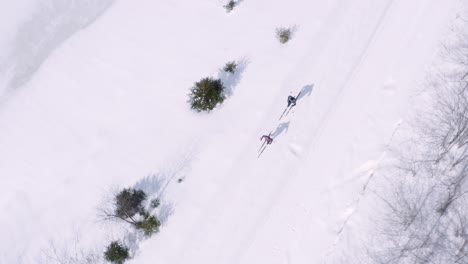 一对夫妇在越野滑雪中穿过雪覆盖的风景