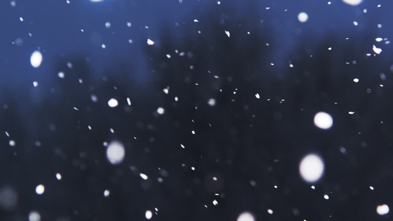 primer plano de la nieve que cae por la noche, panorámica de izquierda a derecha, antes de descansar en un árbol de fondo