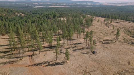 Amplia-Antena-Siguiendo-La-Motocicleta-Por-La-Carretera-Forestal-Por-Una-Gran-Pradera