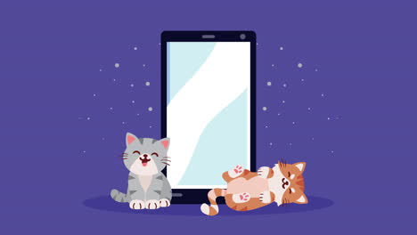 cute cats with smartphone animation