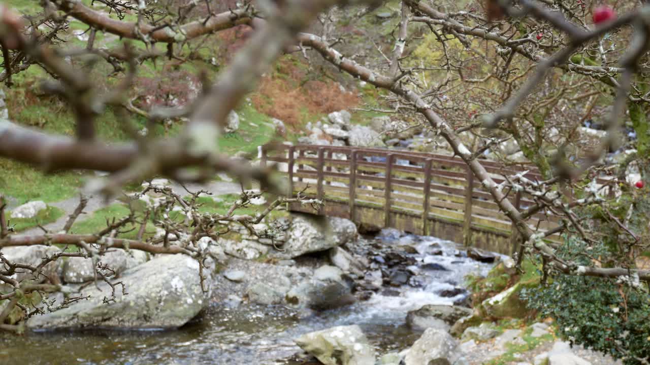 cascada de madera puente del río visto a través de las ramas desnudas de los árboles de otoño dolly derecha paralaje ascendente