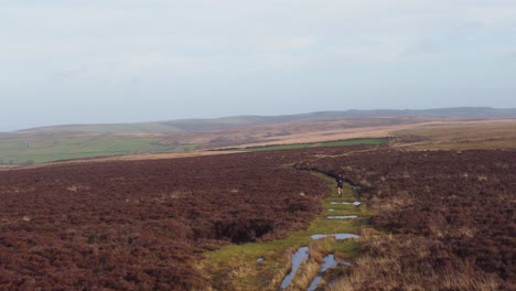 male runner athelete jogging over moorland countryside terrain in winter training regime keeping fit healthy lifestyle - aerial drone uk 4k