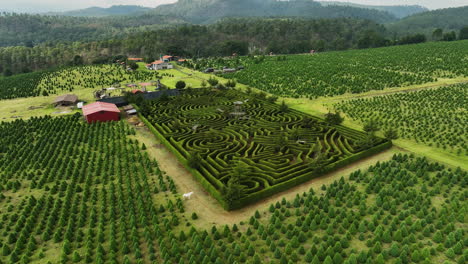 aerial view toward a garden maze, on the countryside of puebla, cloudy mexico