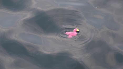 un juguete de flamenco suave de un niño flotando en la superficie del agua del mar, promoviendo conceptos de seguridad para los niños