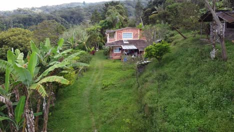 Coffee-and-plantain-farm-in-Colombia