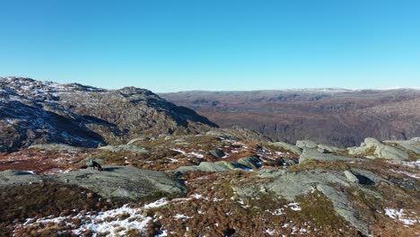 fotógrafo paisajista en noruega otoño montaña caminando y tumbado en la roca para tomar fotos con telezoom - estático