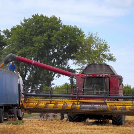 harvesting of field with combine