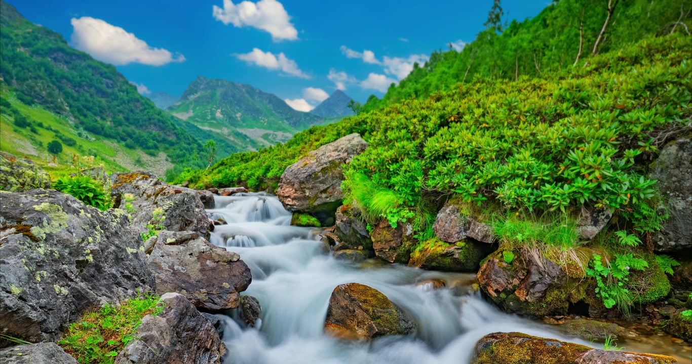 ลำธารบนภูเขาที่สวยงามพร้อมน้ำที่ไหลเชี่ยวและทิวทัศน์สีเขียวชอุ่ม