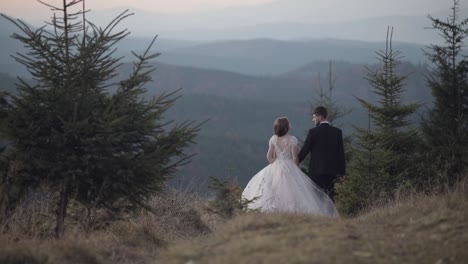 Recién-Casados.-El-Novio-Y-La-Novia-Se-Alejan-Caminando-Por-La-Ladera-De-La-Montaña.-Pareja-De-Novios