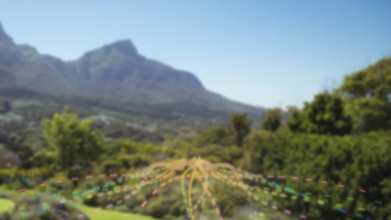 Radiating dashed line pattern being overlaid on garden beds, featuring rolling hills beyond