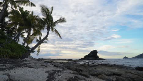 the beautiful rocky landscape of the shores of the fiji islands - wide shot