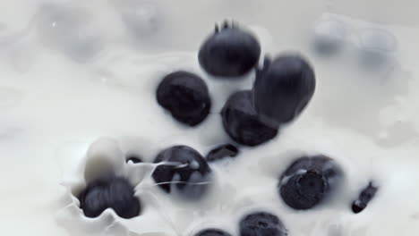 closeup berries filling milk liquid. berries floating inside calcium cocktail