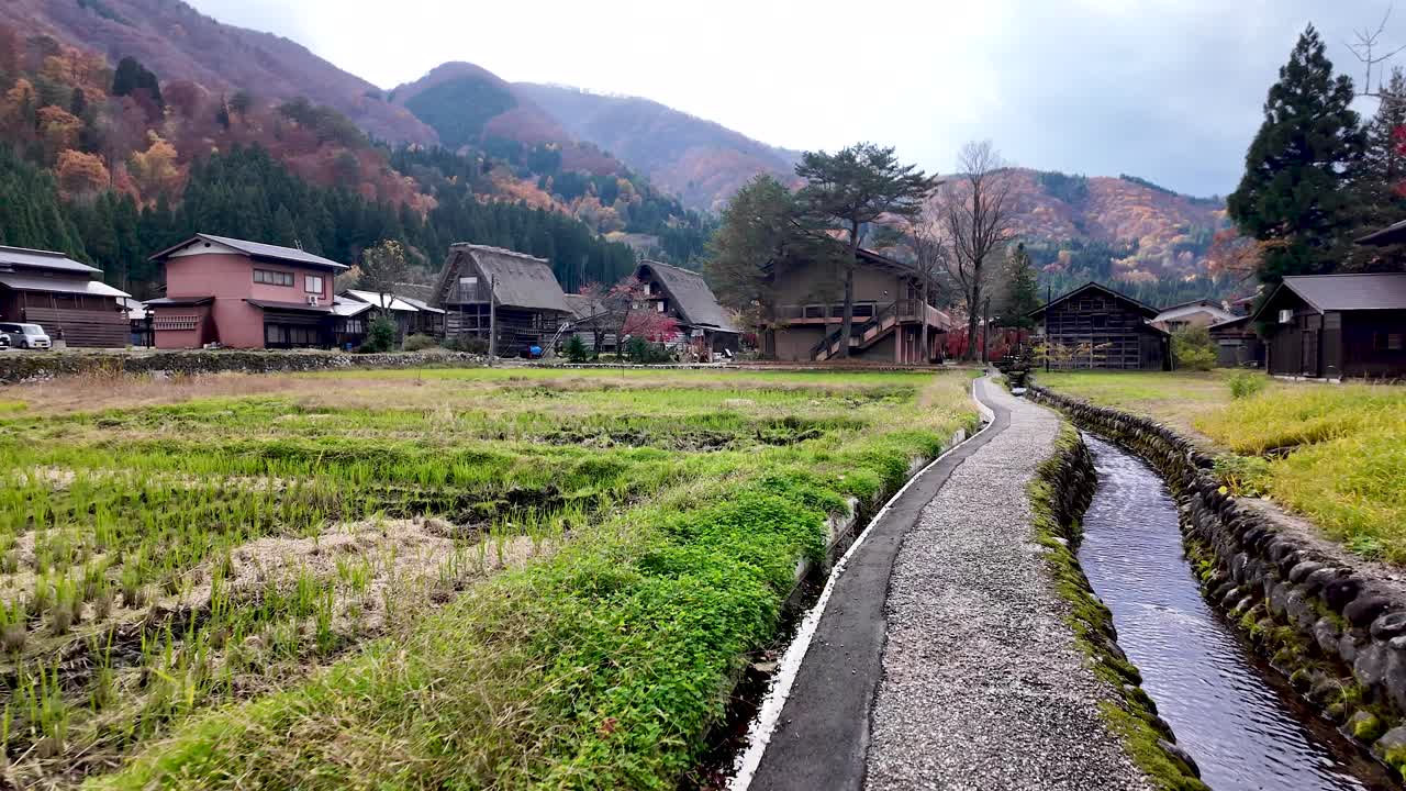 Colorful autumn foliage framing traditional gassho style houses in the fields of Shirakawa go, a UNESCO World Heritage site