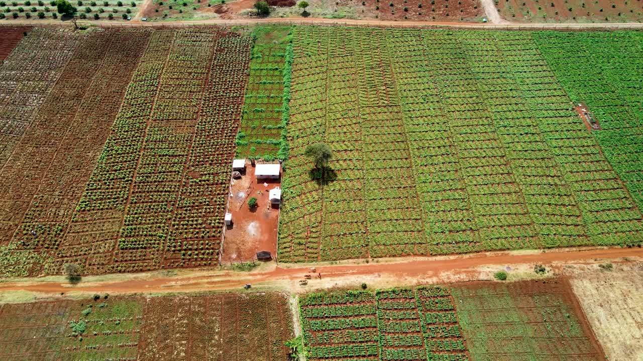 loitokitok-kenya-march 2021:-로이토키톡, 케냐