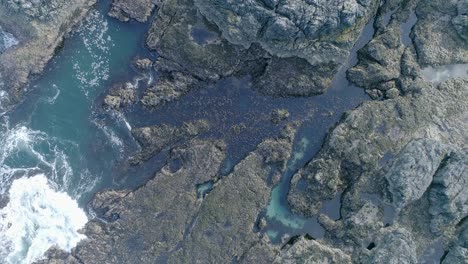 Open-sea-rock-pool-inlet-with-a-huge-batch-of-seaweed,-perfect-wildlife-habitat,-protected-by-the-direct-impact-of-the-waves