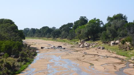 Image-of-creek-drying-up,-dirt-and-stones-within-the-creek-bed-and-lined-with-green-mature-trees-and-stones