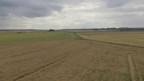 aerial view of a vast golden field