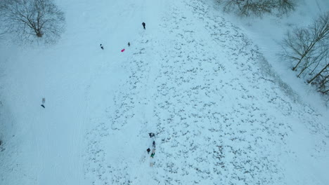 La-Familia-Tira-De-Trineos-A-Lo-Largo-Del-Camino-De-La-Colina-Hasta-La-Pendiente-Cubierta-De-Nieve-En-El-Borde-Del-Bosque,-Antena