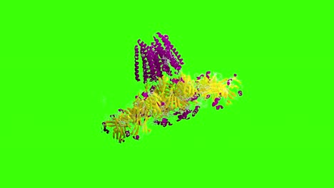 representación 3d de ivermectina (bucle con pantalla verde + fondo negro + alfa mate)