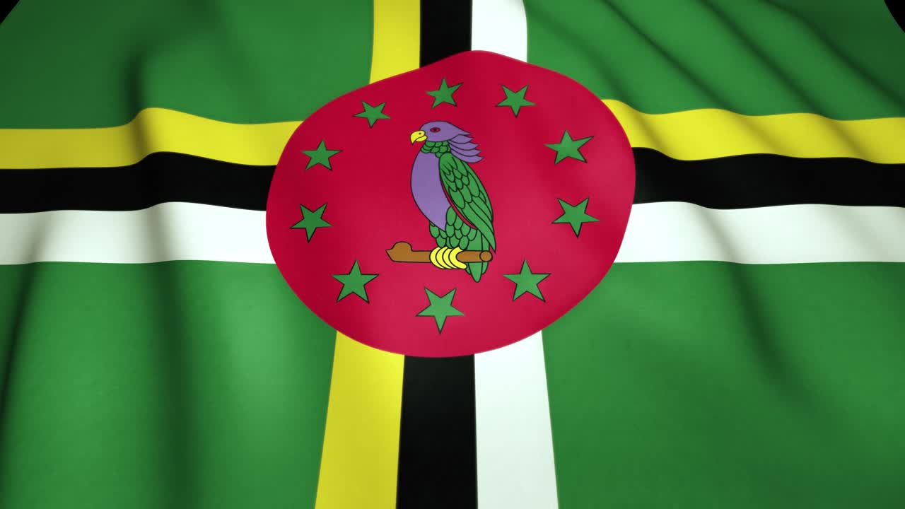 agitando una bandera dominicana realista en 4k, animación en bucle