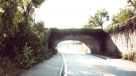puente de arco con ramas de arbusto vivo en el parque
