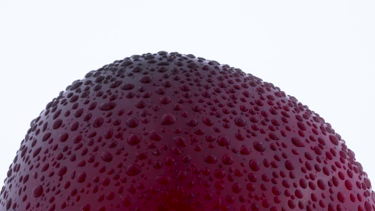 Macro shooting of upper part of one big purple maynard plum with water drops. Slowly rotating on the turntable isolated on the white background. Closeup.