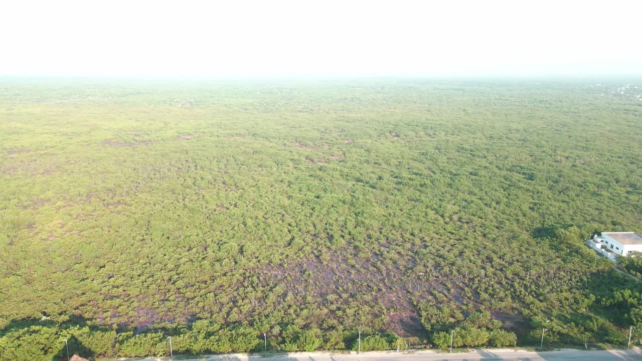 멕시코의 마야 정글과 해변