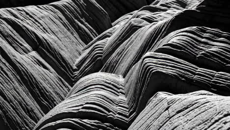abstract grayscale wavy layered texture