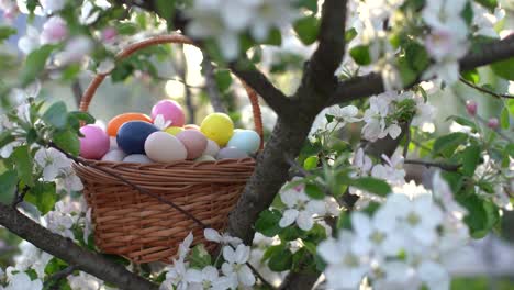 Felices-Pascuas.-Canasta-Con-Huevos-De-Pascua-En-La-Hierba-En-Un-Día-Soleado-De-Primavera:-Decoración-De-Pascua,-Pancarta,-Panorama,-Fondo-Con-Espacio-Para-Copiar-Texto