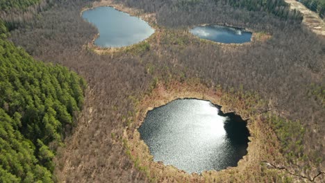 aerial: strange looking lakes that resembles face