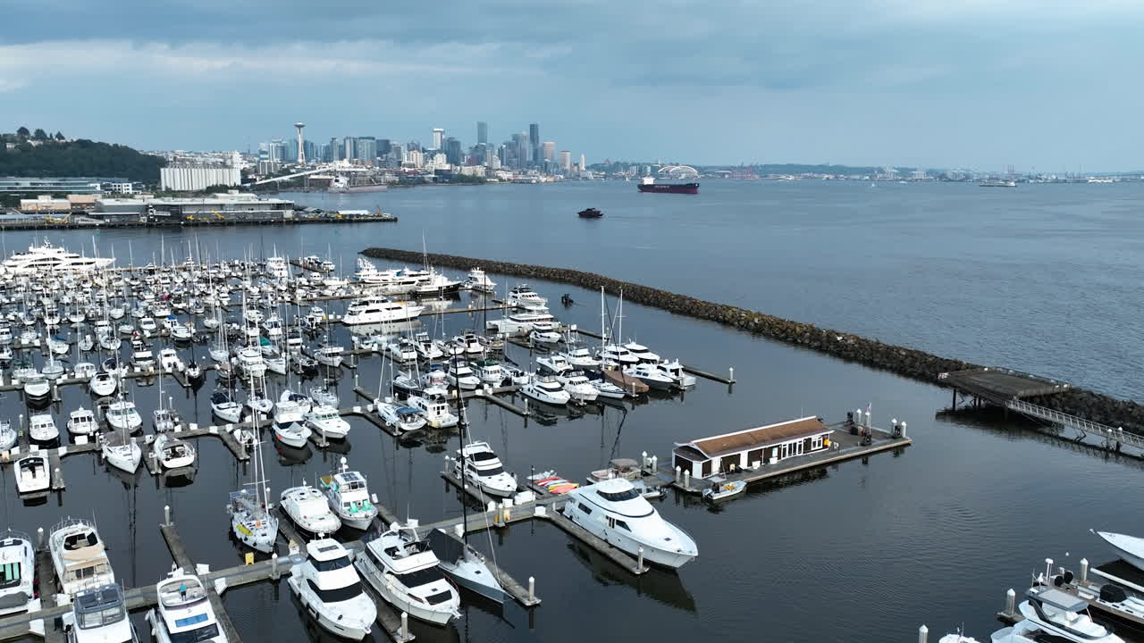 Aerial view over the Elliott bay Marina, Seattle skyline background, sunny day
