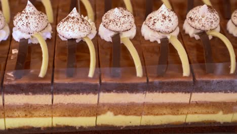 primer plano del pastel de pilvax para el 200 aniversario de petofi