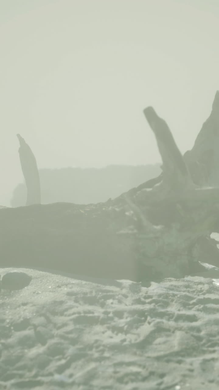 Mysterious rocky landscape shrouded in fog with intriguing formations at dusk