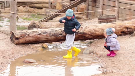 children exploring and playing near a stream