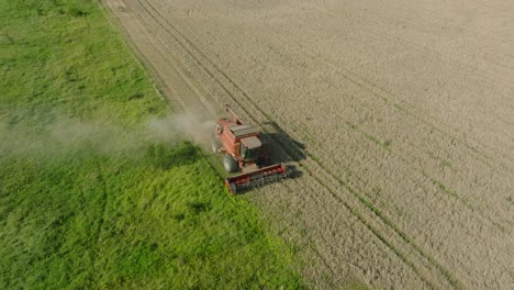 Luftaufnahme-Eines-Mähdreschers-Beim-Mähen-Von-Gelbem-Weizen,-Staubwolken-Steigen-Hinter-Der-Maschine-Auf,-Lebensmittelindustrie,-Gelbe-Getreideernte,-Sonniger-Sommertag,-Umlaufende-Vogelperspektive-Drohnenaufnahme