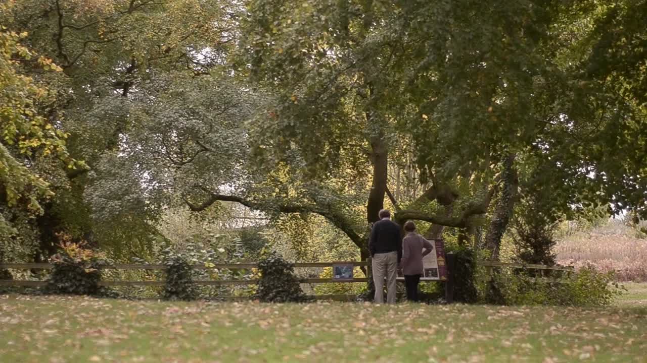 People in the park reading signs by pond