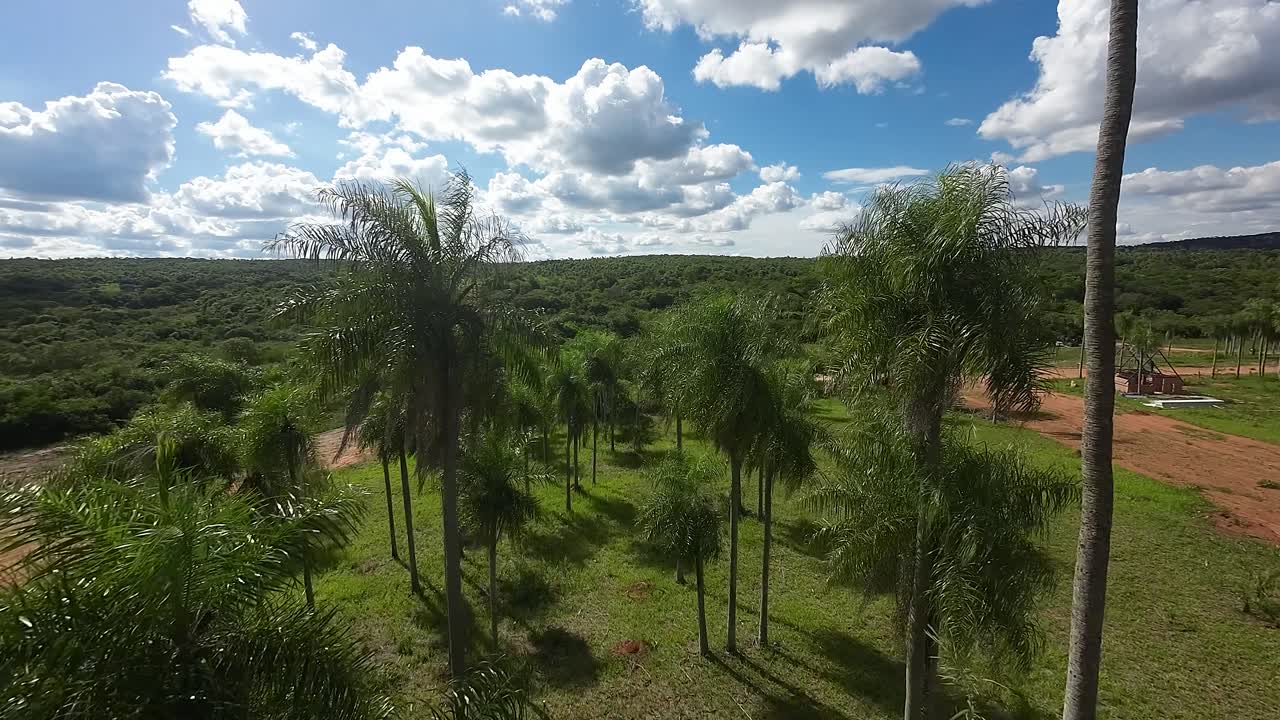 A lush green field with palm trees and a dirt road. The sky is cloudy, but the sun is shining through the clouds