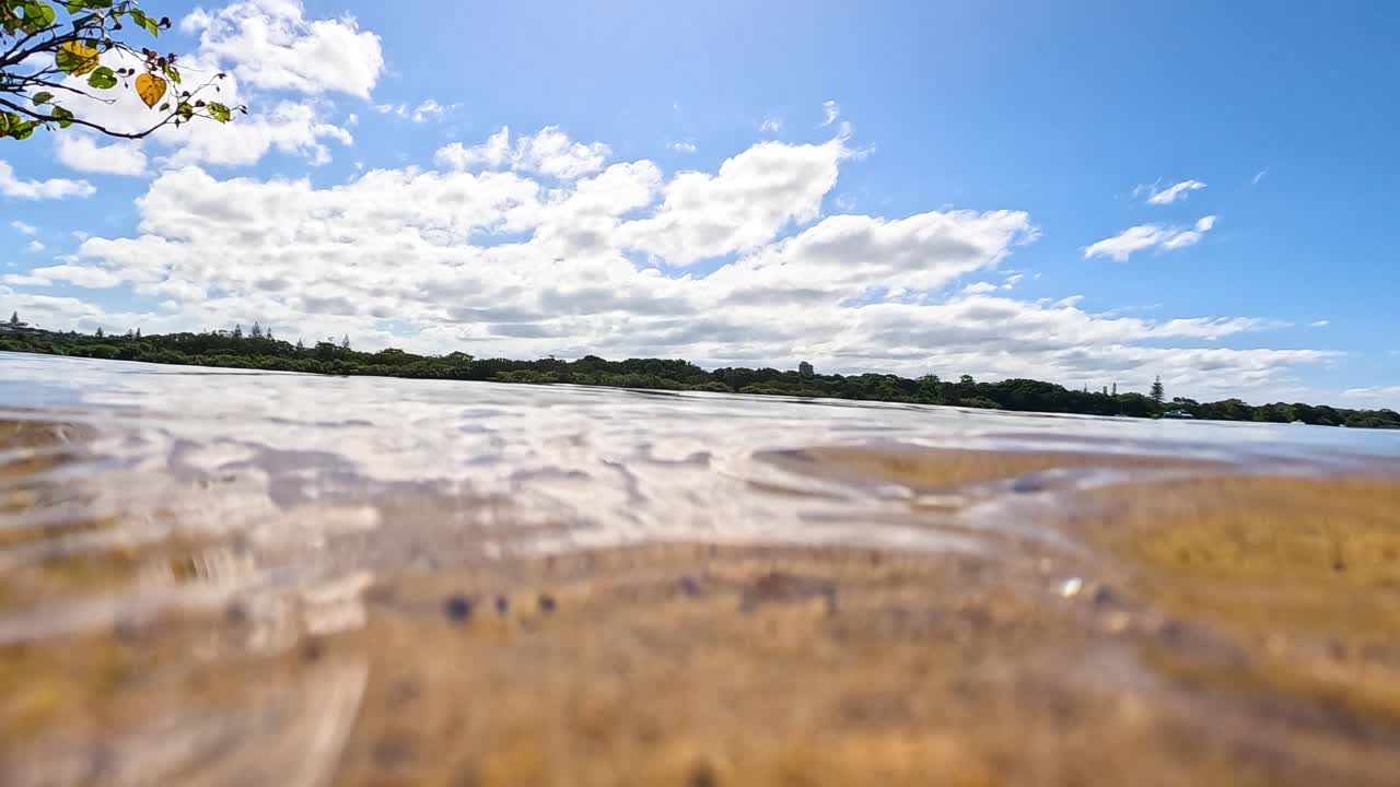 transición entre las perspectivas bajo el agua y por encima del agua