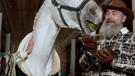 pareja con caballo en el interior