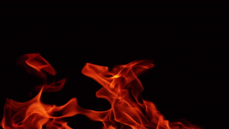 flames of bonfire blown by the wind to the left. campfire top part at night. close up.
