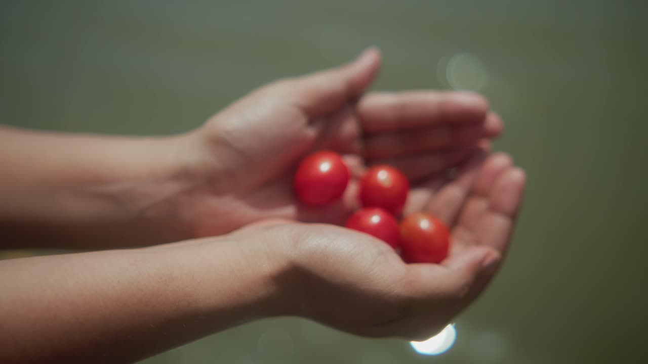 Slow motion shot of cupped hands holding four red fruits above gently rippling water, with soft bokeh reflections glimmering on the surface in a serene and intimate gesture of offering