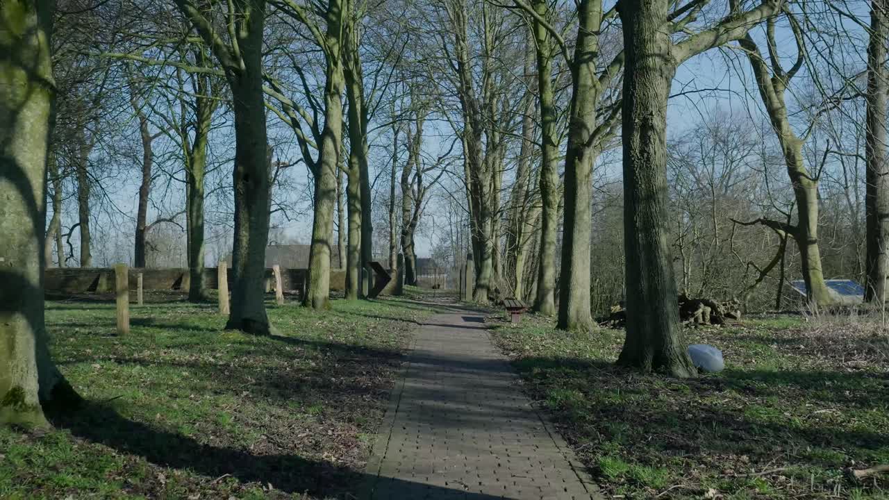 Kørebillede langs en rolig sti kantet med høje nøgne træer