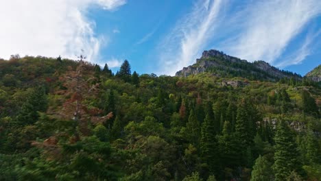 Volando-Sobre-árboles-Y-Hermosas-Vistas-Del-Paisaje-En-Las-Montañas-Y-Bosques-De-Ogden-Canyon-Utah