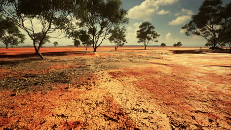 tierra mal agrietada bajo un sol abrasador