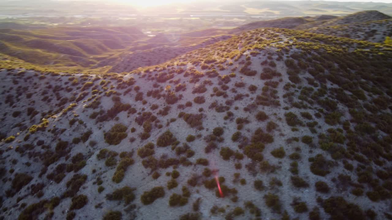 석양에 부시에서 실행 하는 남자의 공중 샷