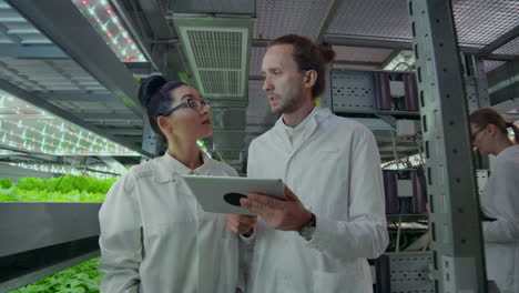 microbiología en abrigos blancos ir a una granja moderna con computadoras portátiles y tabletas estudiando los resultados de las pruebas y la recolección de muestras para el estudio de nuevas especies de plantas, la lucha contra el cambio climático y la creación de plantas sostenibles.